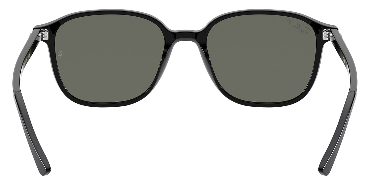 Ray-Ban™ - Leonard RB2193