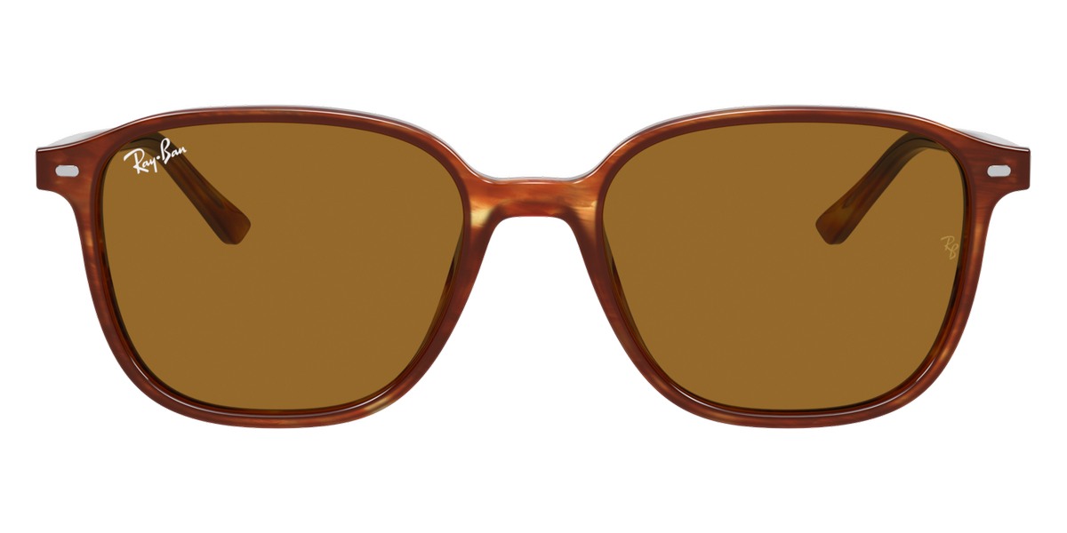 Ray-Ban™ - Leonard RB2193