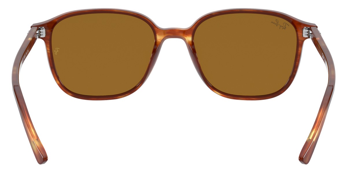 Ray-Ban™ - Leonard RB2193