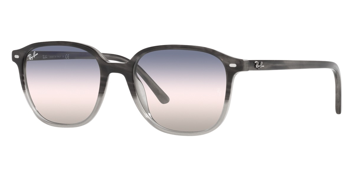 Ray-Ban™ - Leonard RB2193F