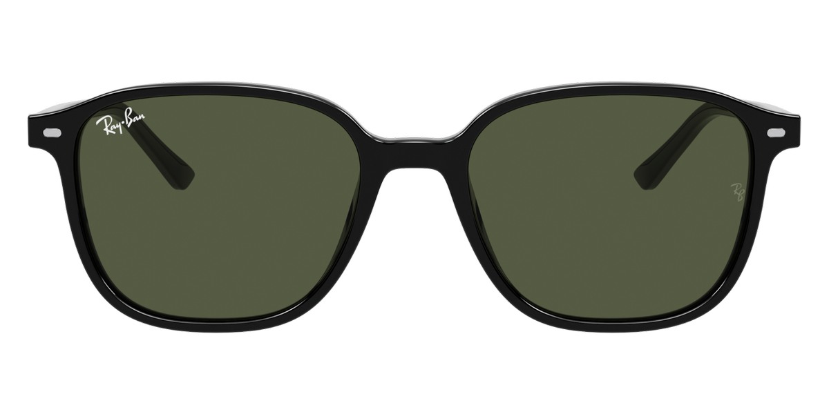 Ray-Ban™ - Leonard RB2193F