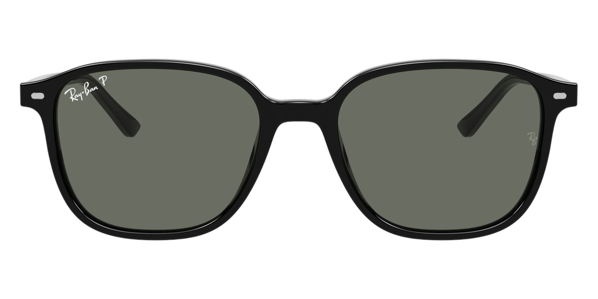 Ray-Ban™ - Leonard RB2193F