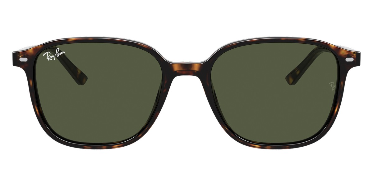 Ray-Ban™ - Leonard RB2193F