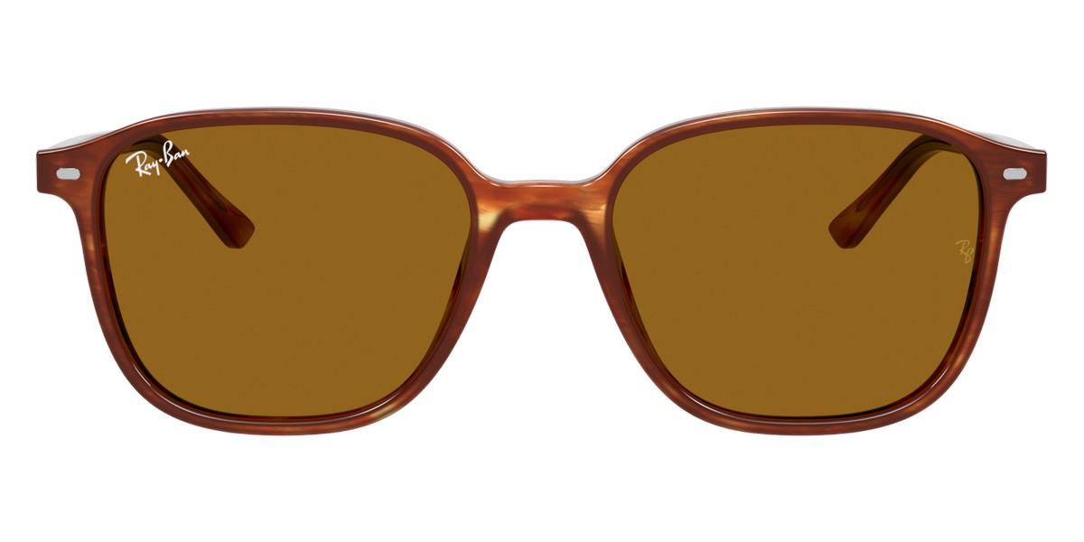 Ray-Ban™ - Leonard RB2193F
