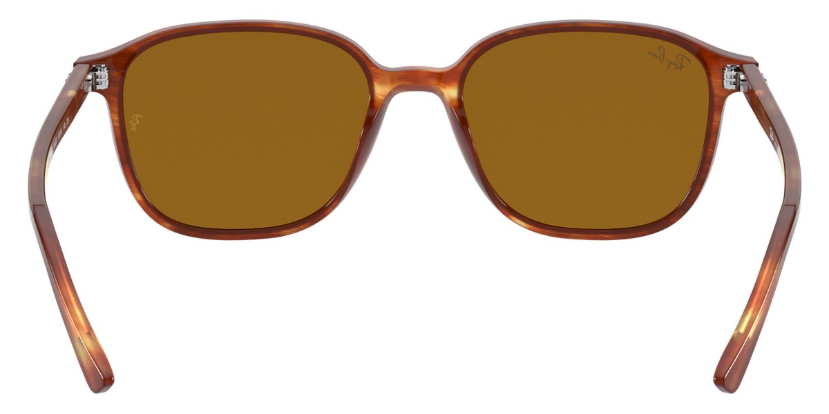 Ray-Ban™ - Leonard RB2193F