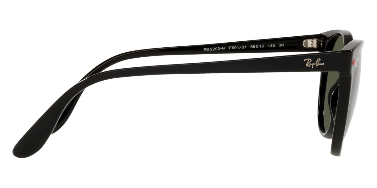 Ray-Ban™ - RB2202M