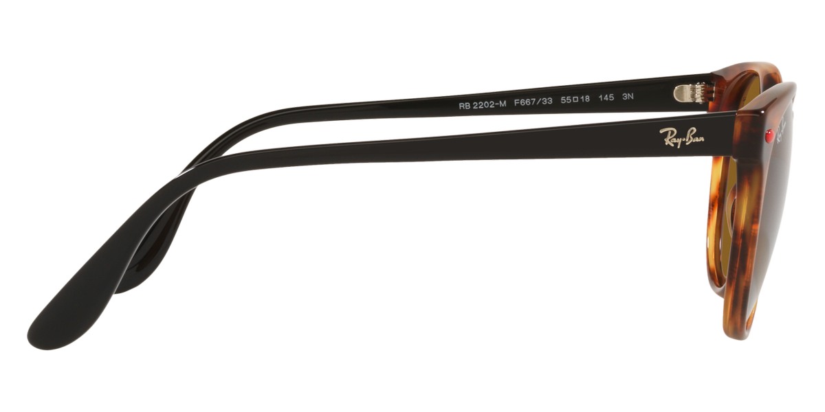 Ray-Ban™ - RB2202M