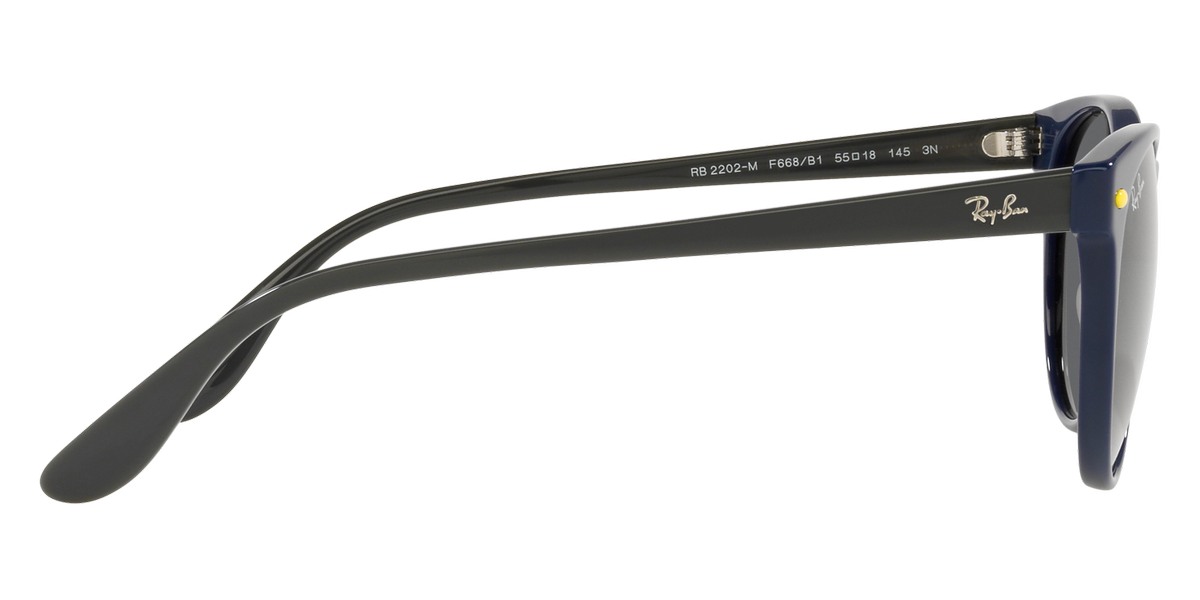 Ray-Ban™ - RB2202M