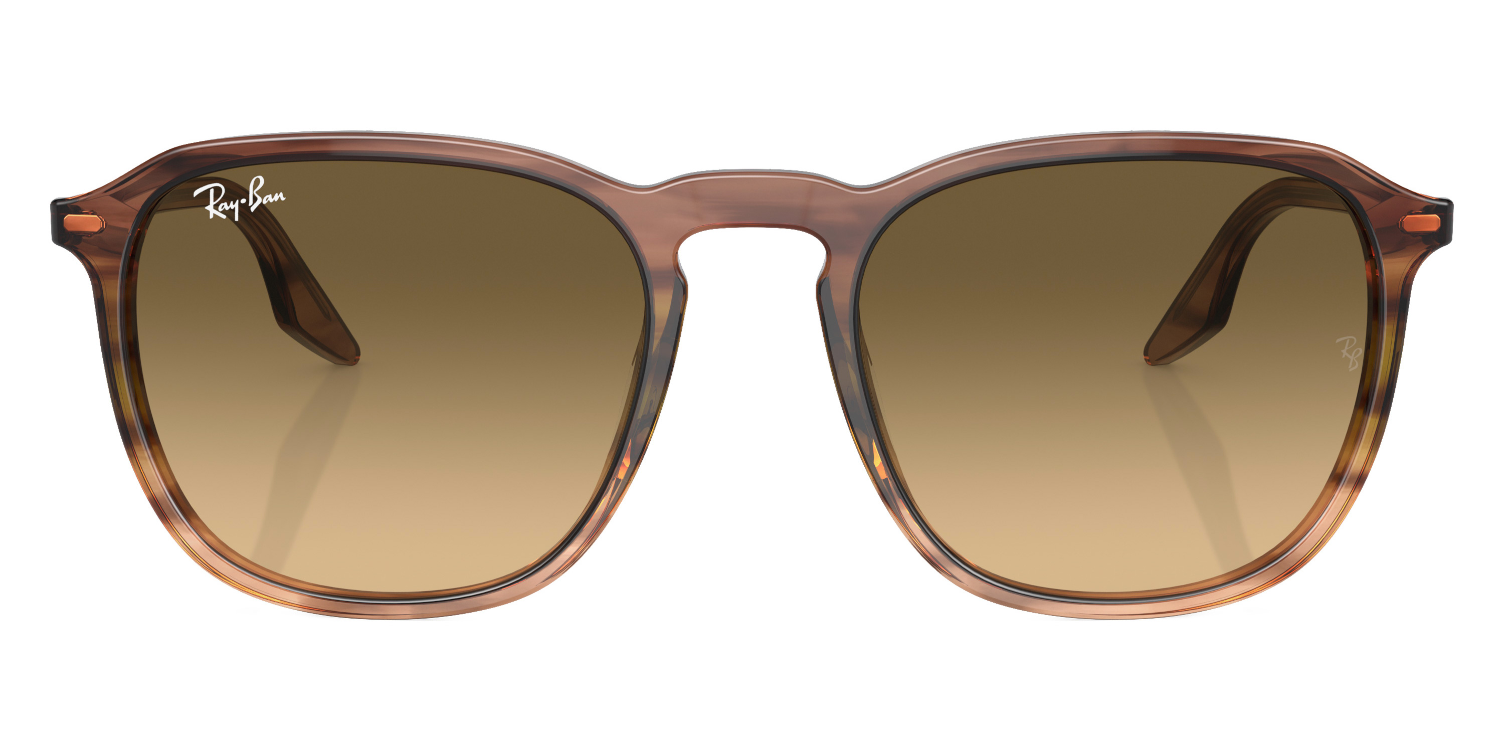 Ray-Ban™ - RB2203F
