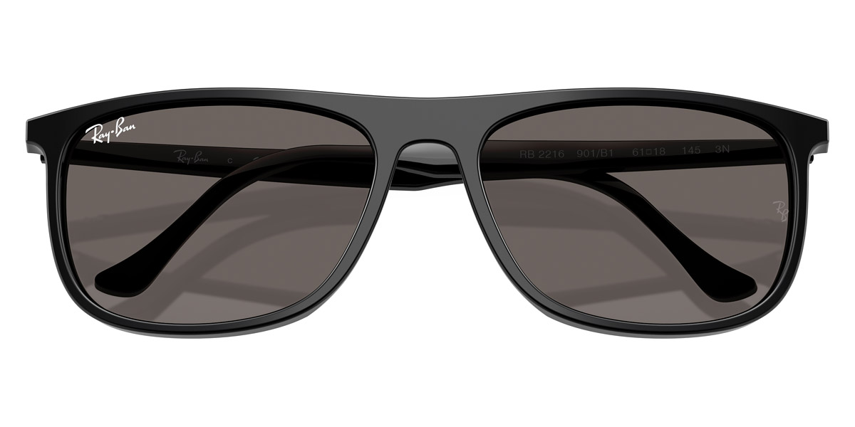 Ray-Ban™ - RB2216