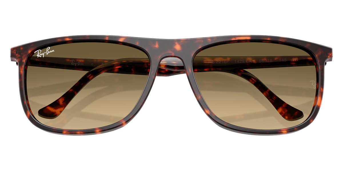 Ray-Ban™ - RB2216F