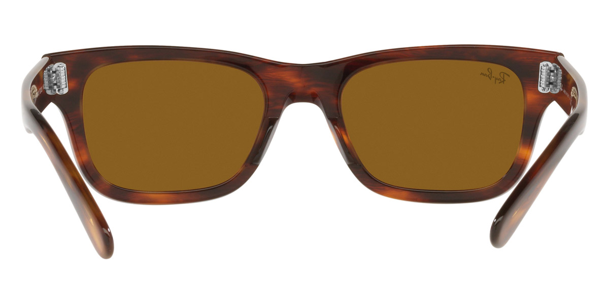 Ray-Ban™ - Mr Burbank RB2283