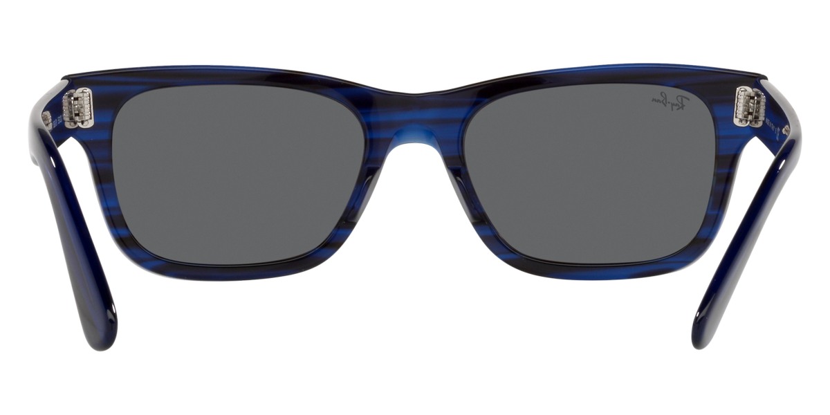 Ray-Ban™ - Mr Burbank RB2283F