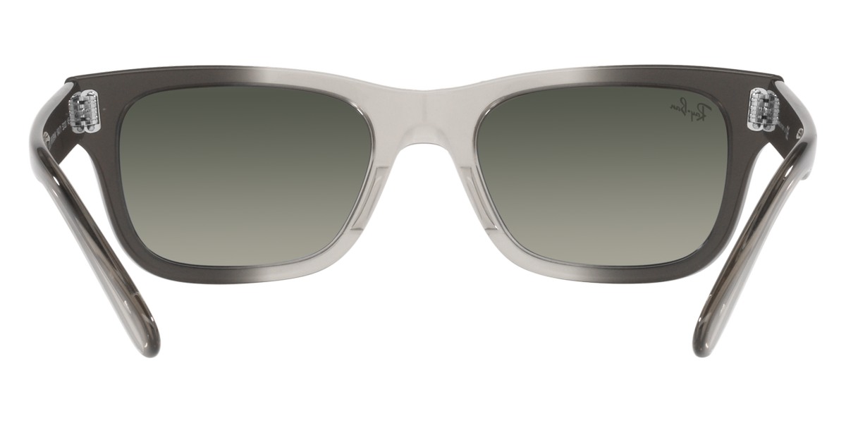 Ray-Ban™ - Mr Burbank RB2283F