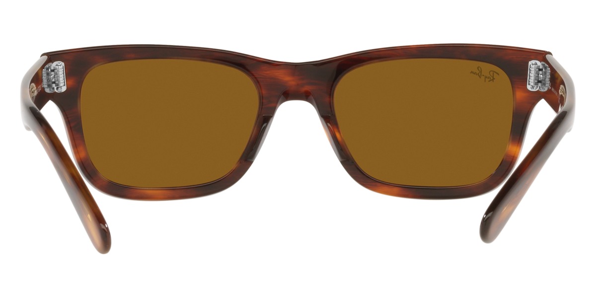 Ray-Ban™ - Mr Burbank RB2283F