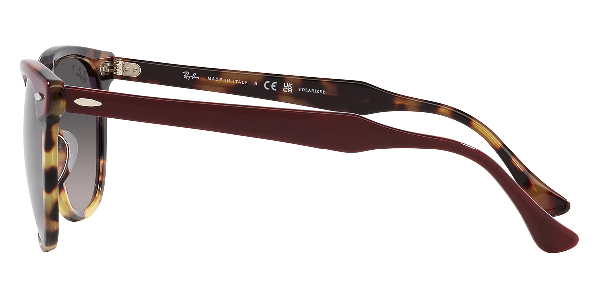 Ray-Ban™ - Eagleeye RB2398