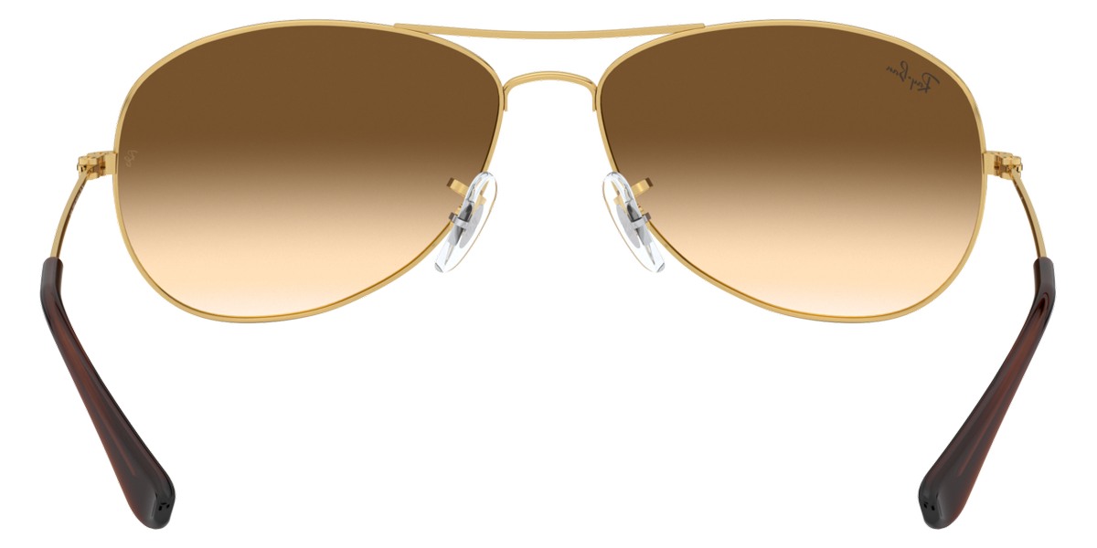 Ray-Ban™ - Cockpit RB3362