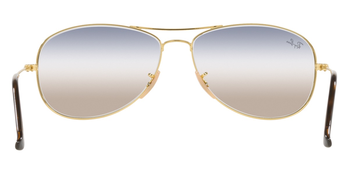 Ray-Ban™ - Cockpit RB3362