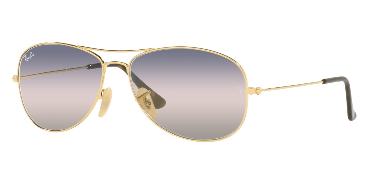 Ray Ban Cockpit RB3362 001 GE 59 Sunglasses in Arista