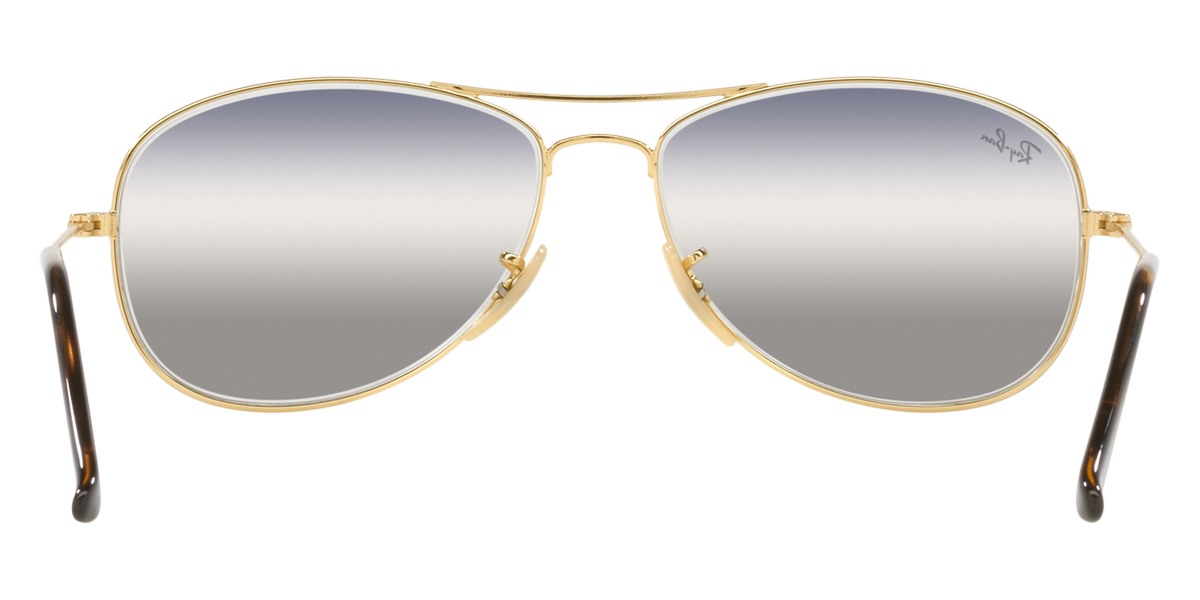 Ray-Ban™ - Cockpit RB3362