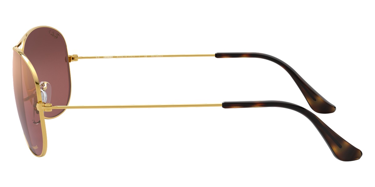 Ray-Ban™ - RB3562