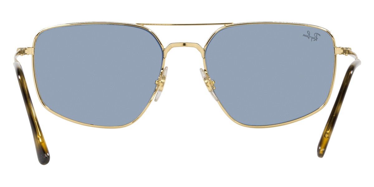 Ray-Ban™ - RB3666