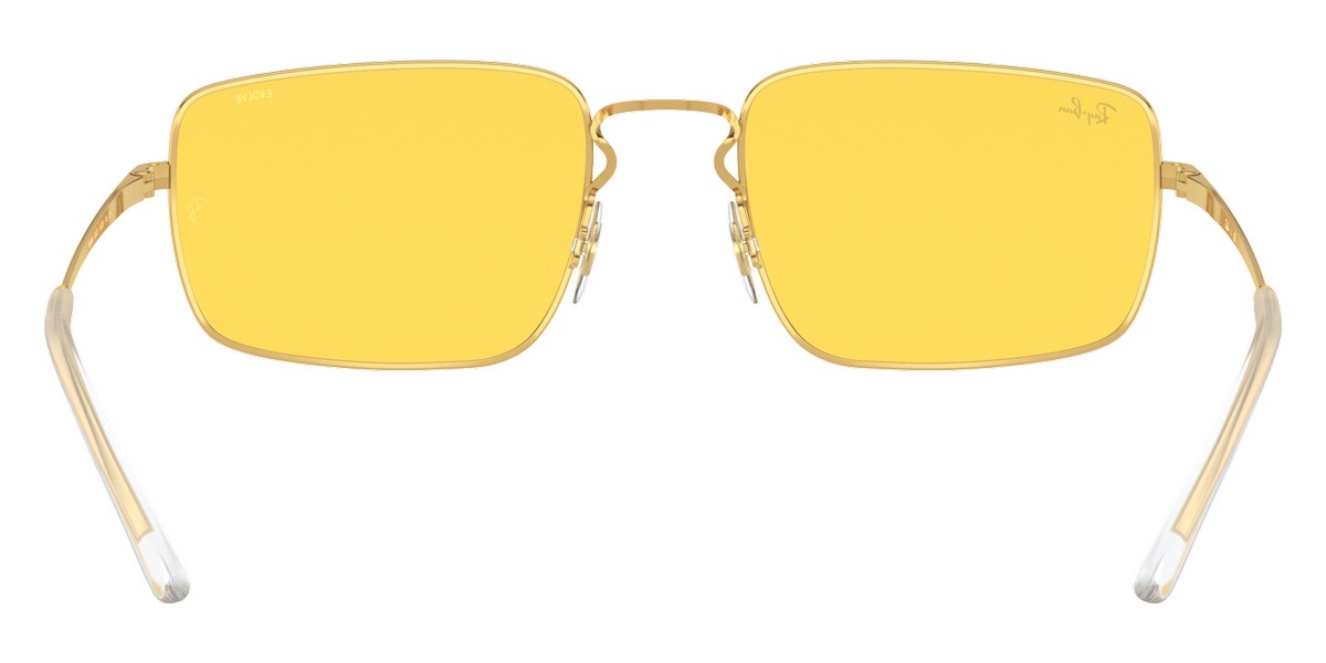 Ray-Ban™ - RB3669
