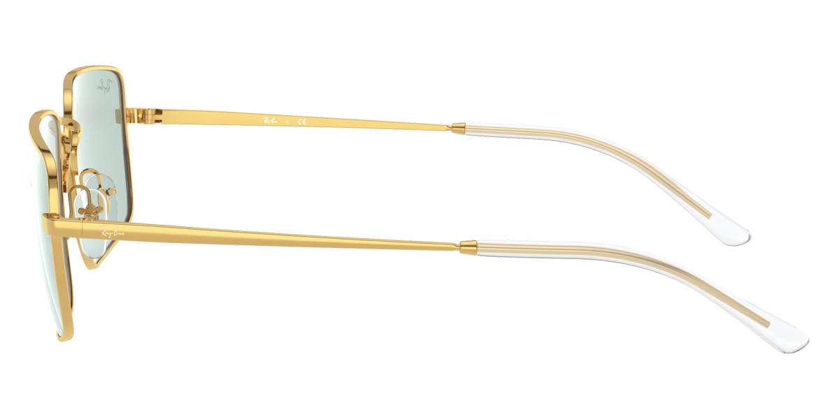 Ray-Ban™ - RB3669F