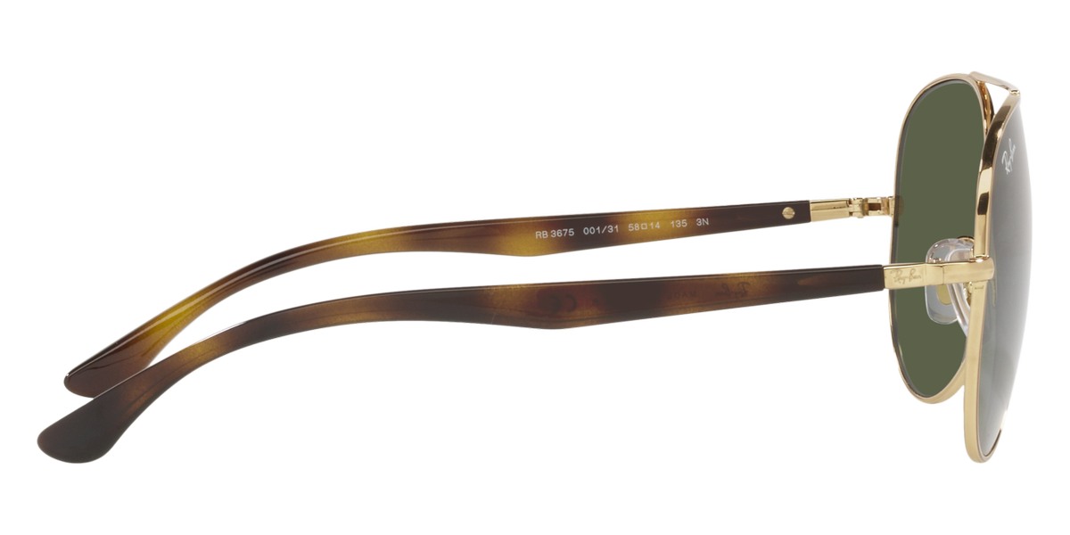 Ray-Ban™ - RB3675