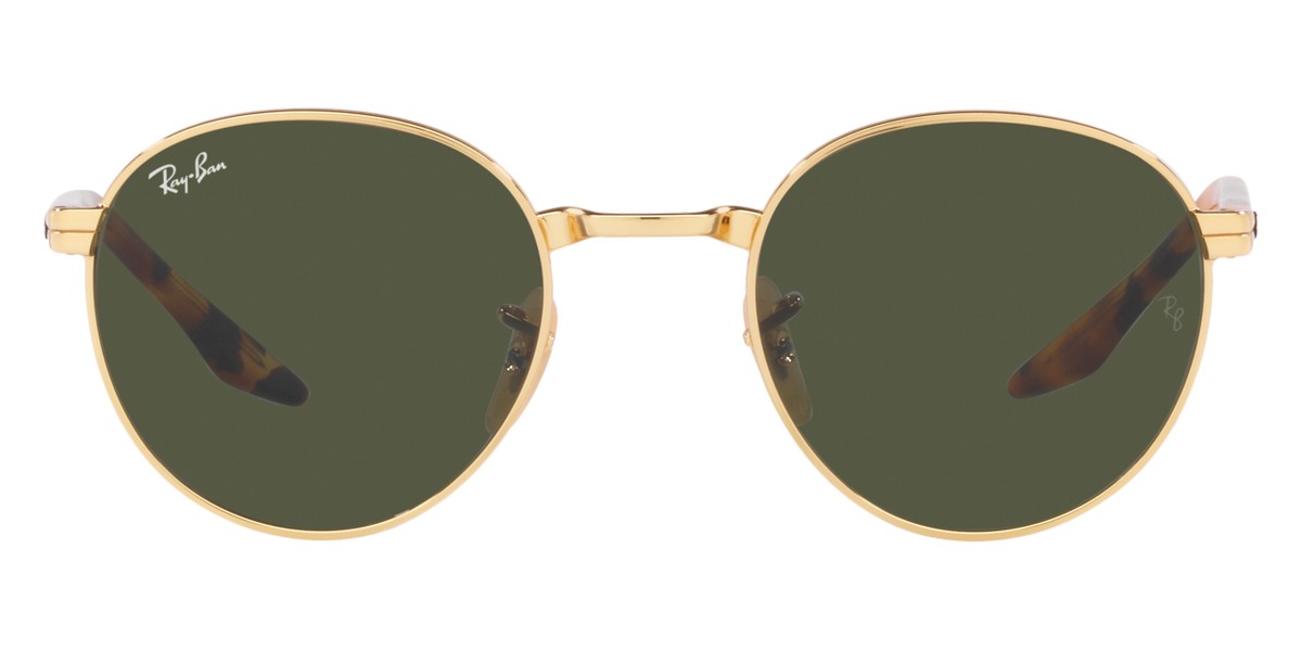 Ray-Ban™ - RB3691F