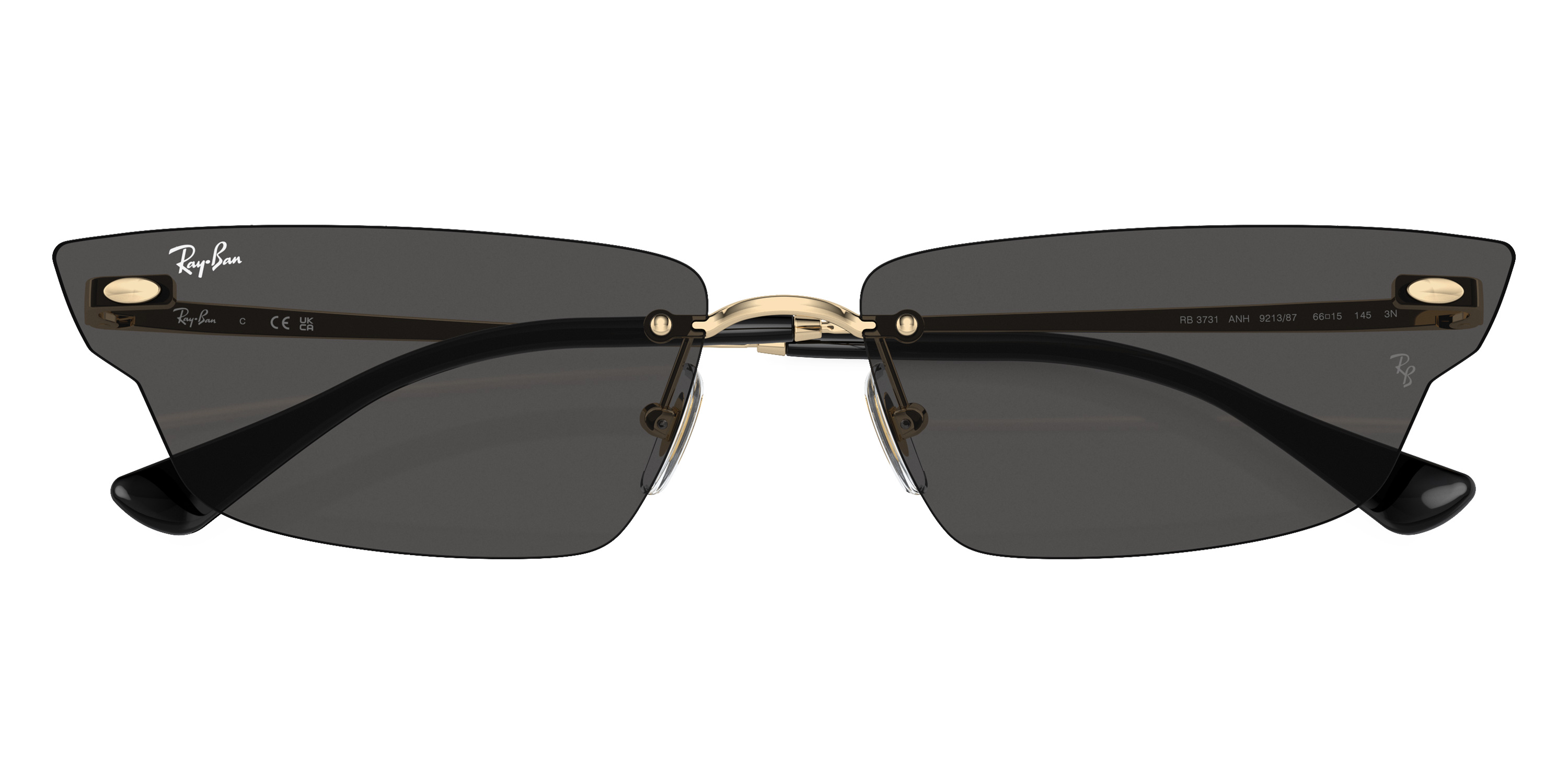 Ray-Ban™ - Anh RB3731