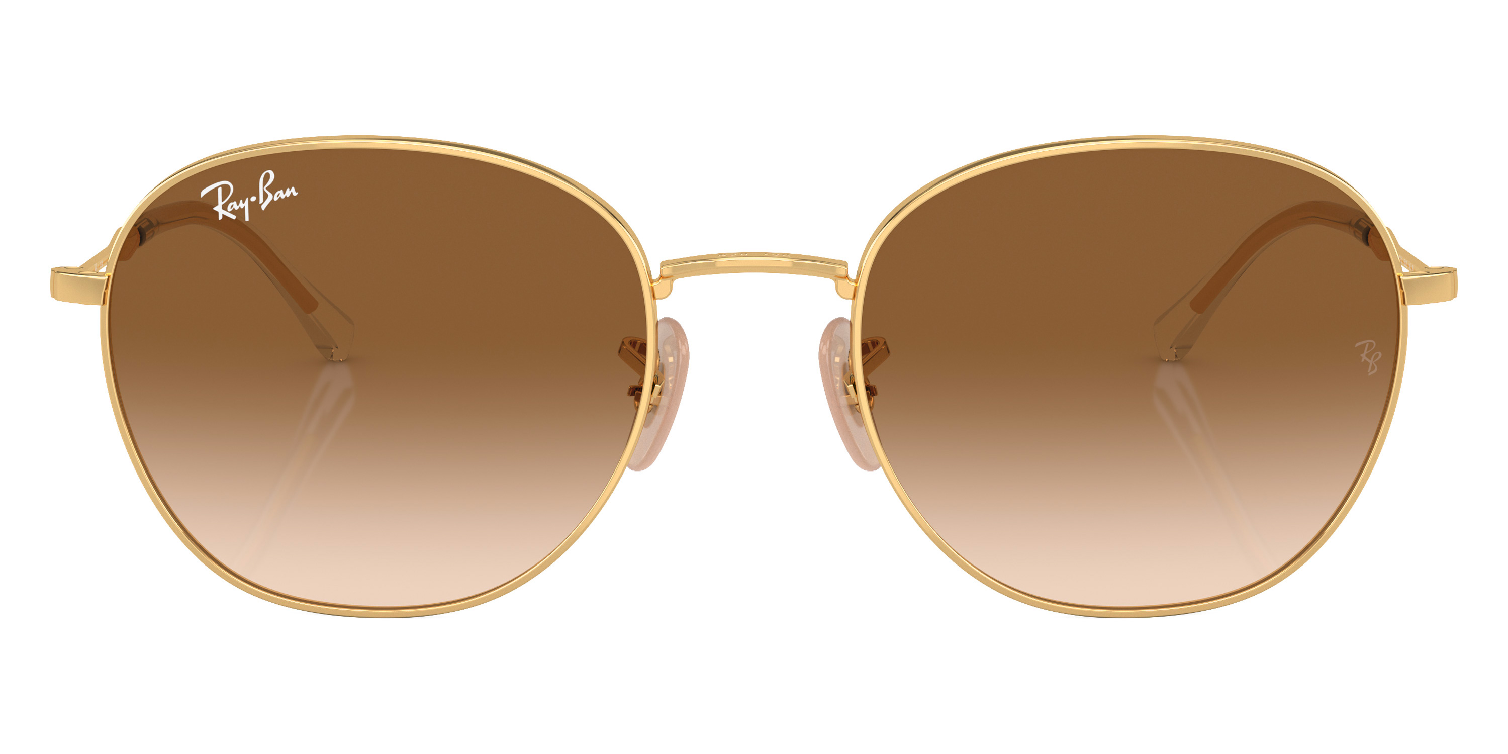 Ray-Ban™ - RB3809