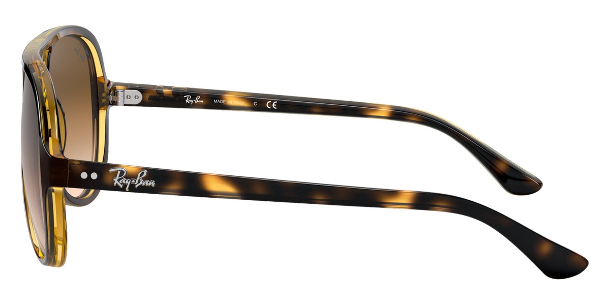 Ray-Ban™ - Cats 5000 RB4125