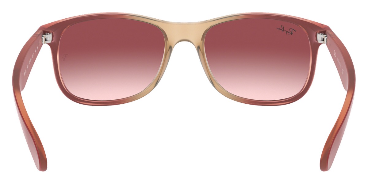 Ray-Ban™ - Andy RB4202