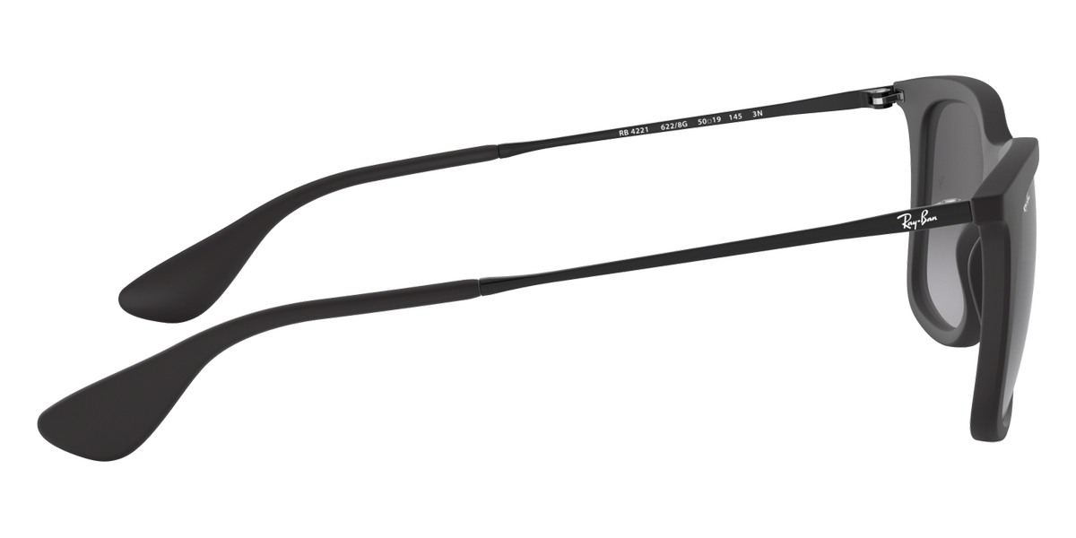 Ray-Ban™ - RB4221