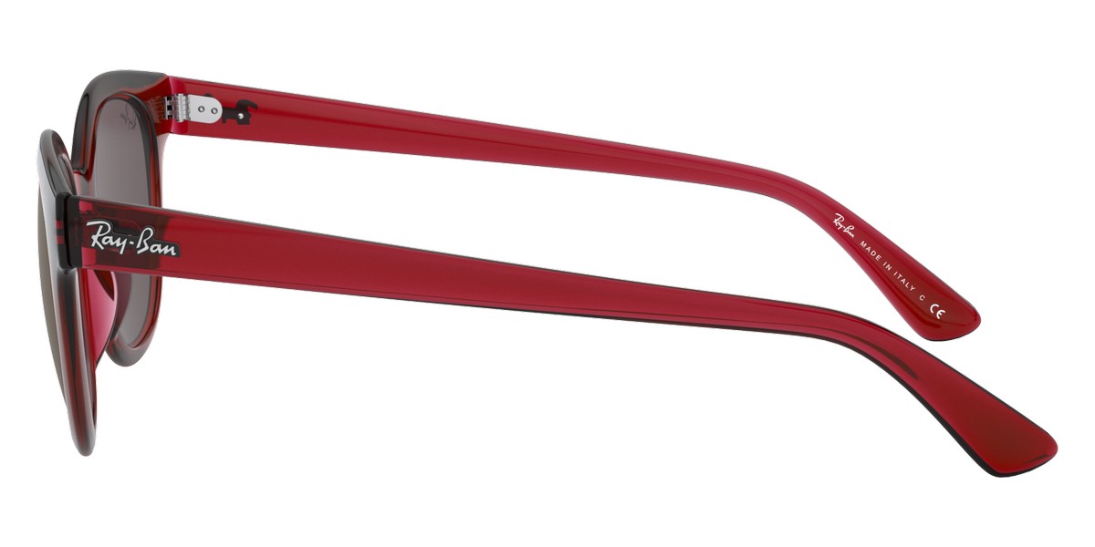 Ray-Ban™ - RB4324