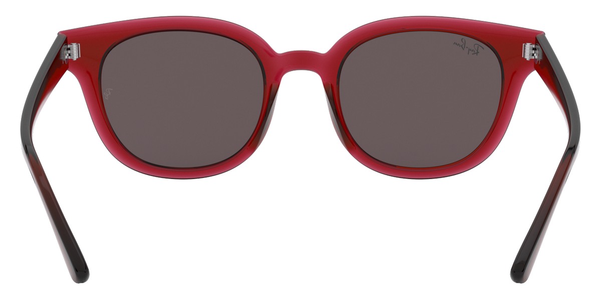 Ray-Ban™ - RB4324