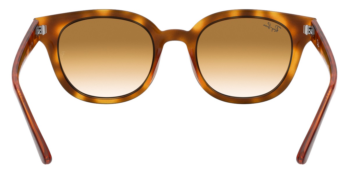 Ray-Ban™ - RB4324