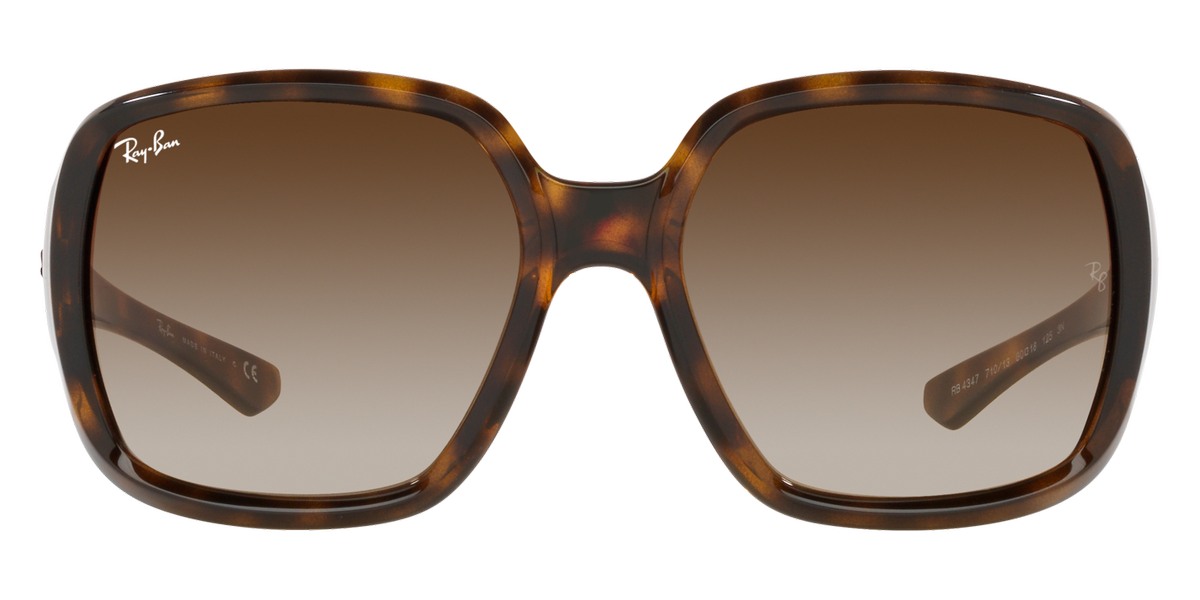 Ray-Ban™ - Powderhorn RB4347