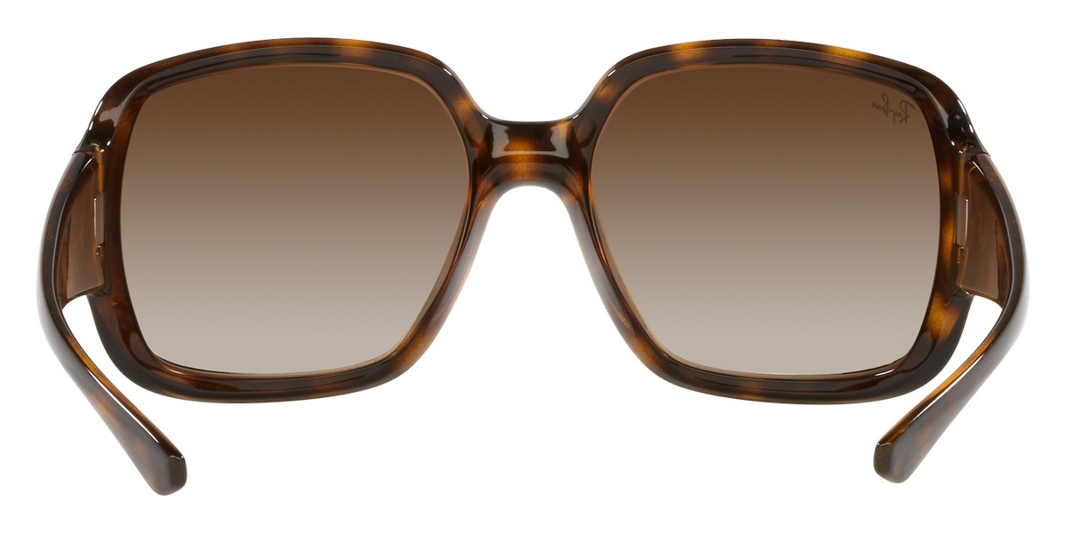 Ray-Ban™ - Powderhorn RB4347