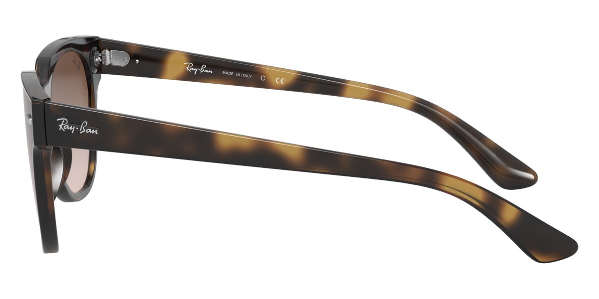 Ray-Ban™ - Blaze Meteor RB4368N