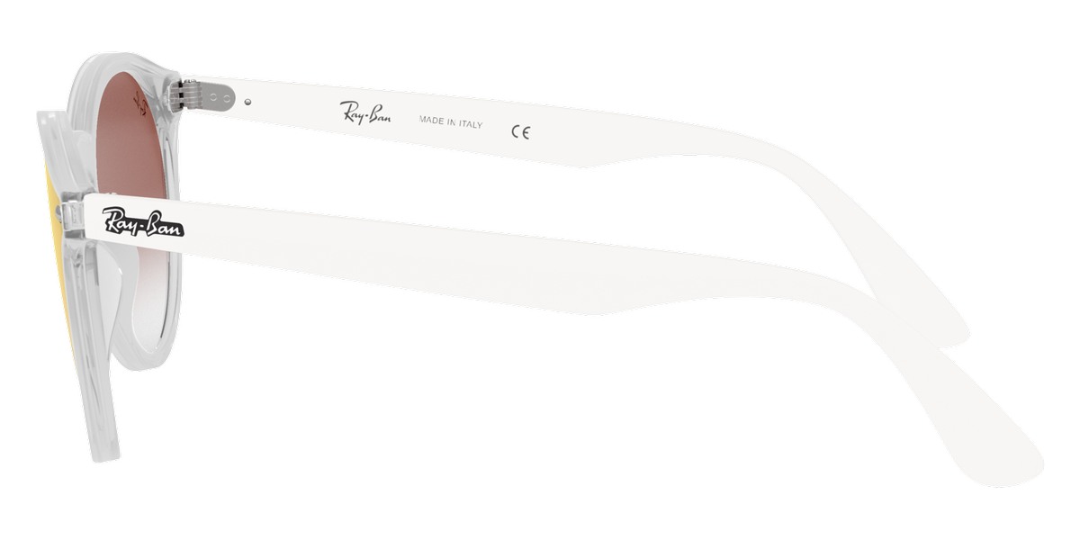 Ray-Ban™ - Blaze Panthos RB4380N