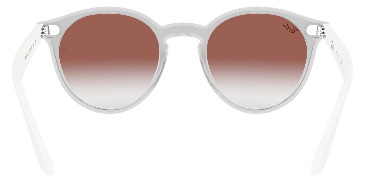Ray-Ban™ - Blaze Panthos RB4380N