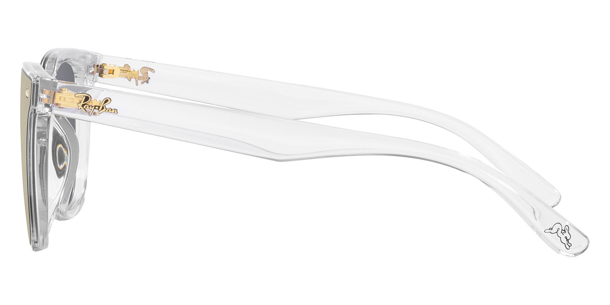 Ray-Ban™ - RB4391D