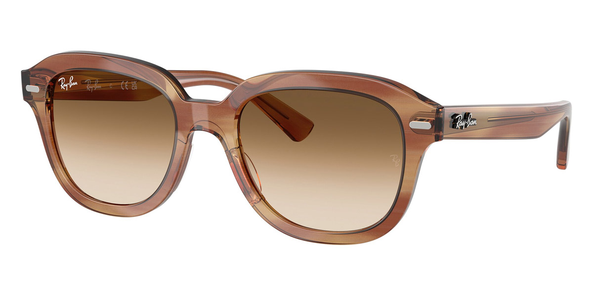 Ray-Ban™ - Erik RB4398
