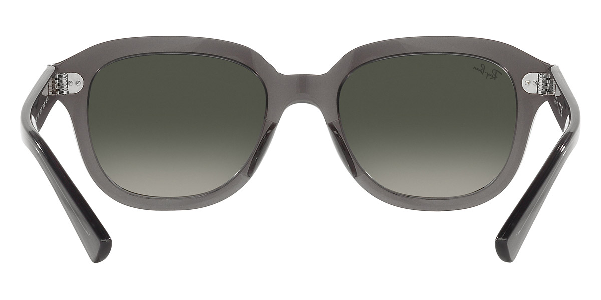 Ray-Ban™ - Erik RB4398F
