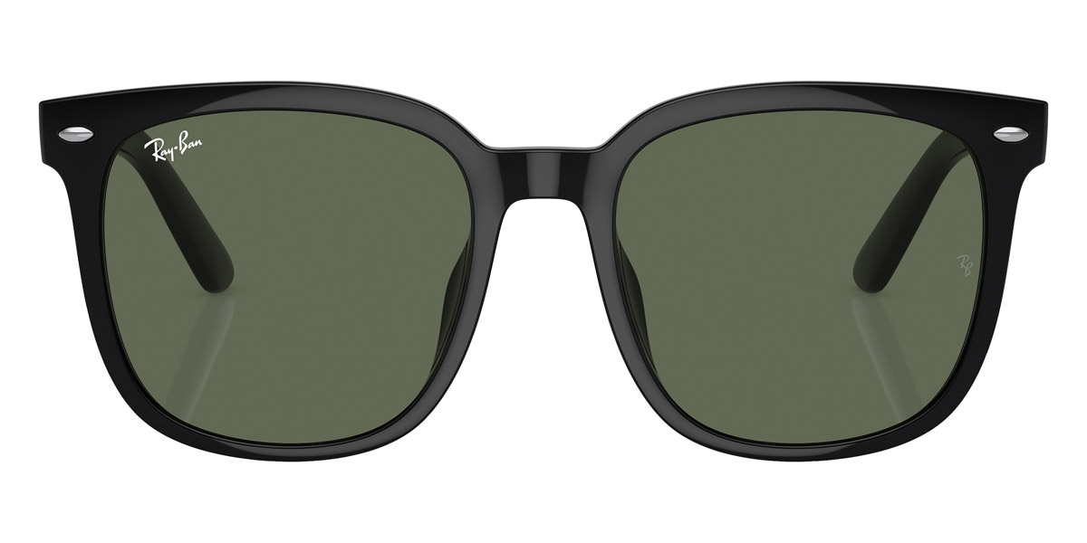 Ray-Ban™ - RB4401D