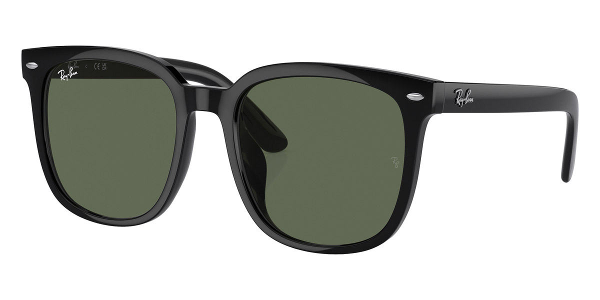 Ray-Ban™ - RB4401D
