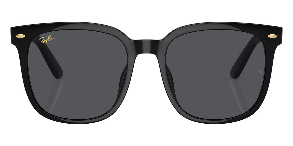 Ray-Ban™ - RB4401D