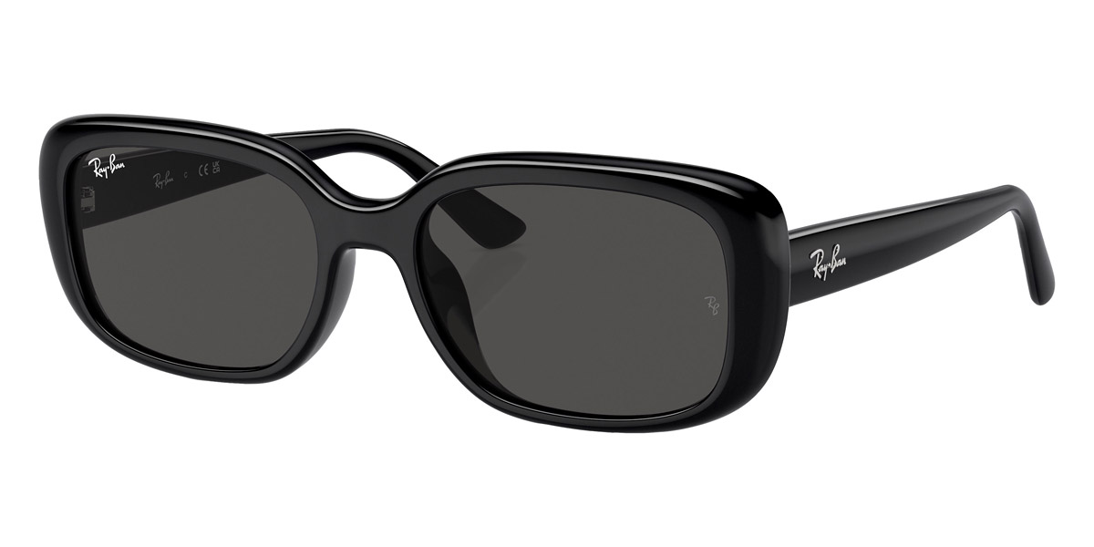 Ray-Ban™ - RB4421D